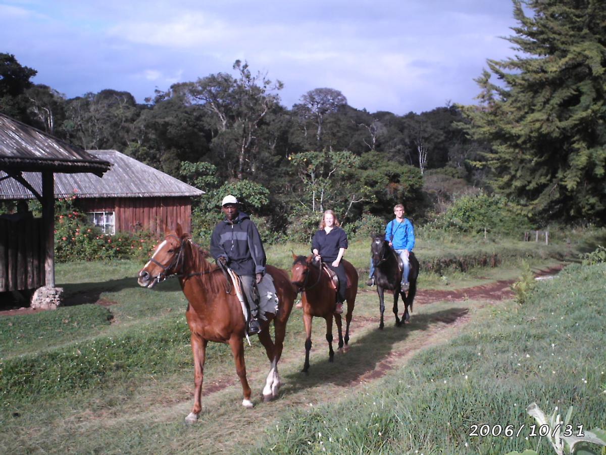 Castle Forest Lodge Mount Kenya National Park Exterior foto