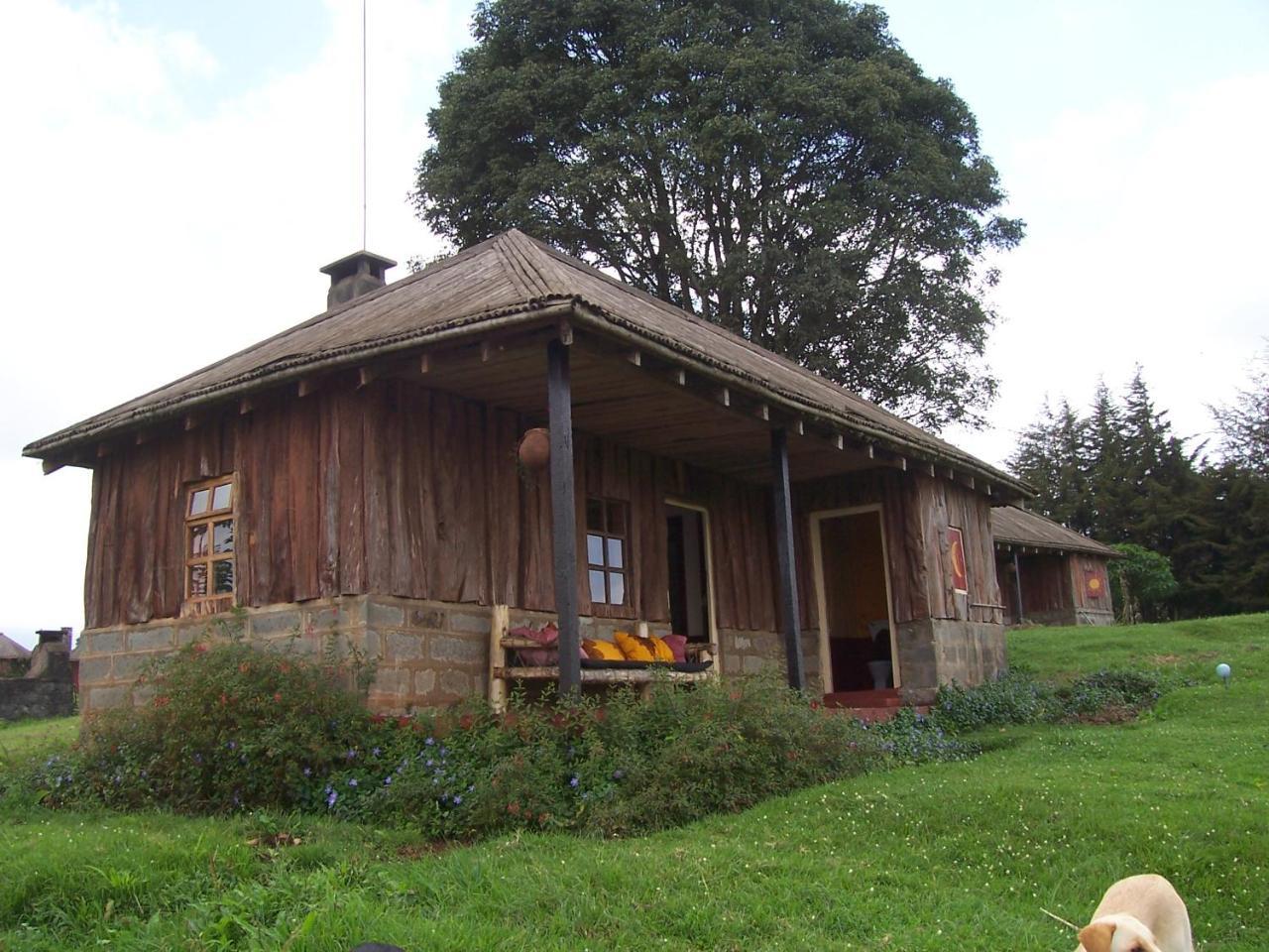 Castle Forest Lodge Mount Kenya National Park Exterior foto